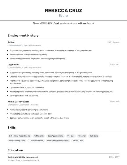 Resume example 2