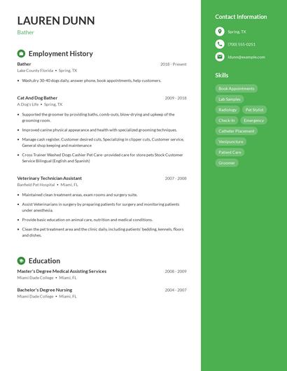 Resume example 4