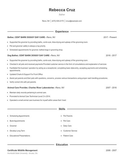 Resume example 1