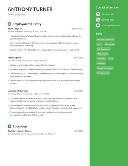Beach Lifeguard Resume