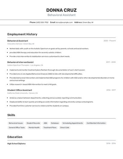 Resume example 2