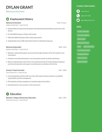Resume example 4