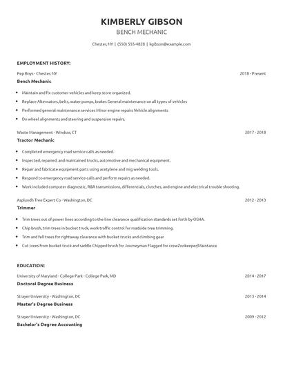 Bench Mechanic Resume