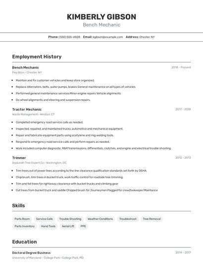 Bench Mechanic Resume