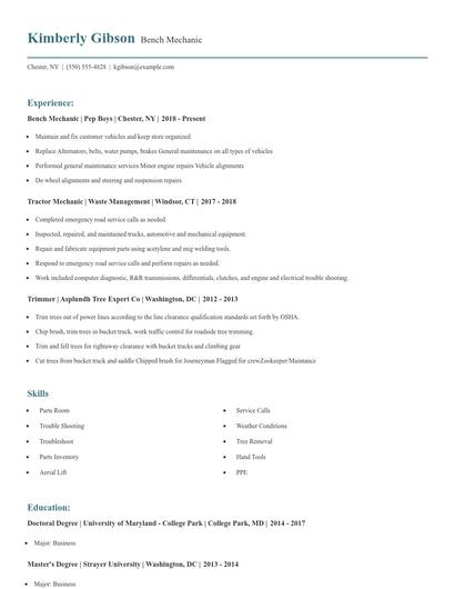 Bench Mechanic Resume