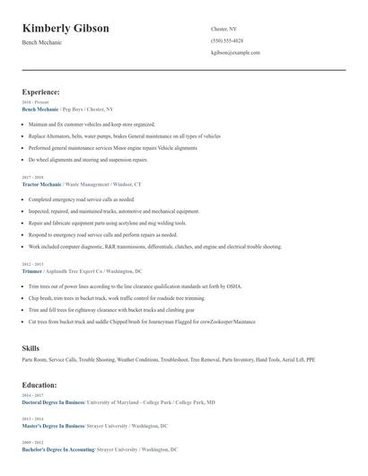 Bench Mechanic Resume