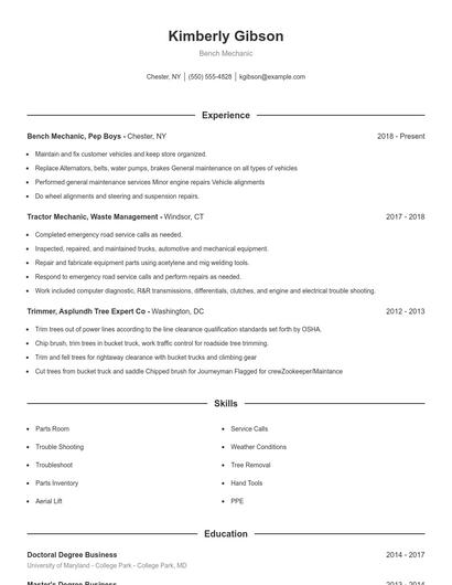 Bench Mechanic Resume