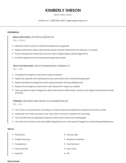 Bench Mechanic Resume