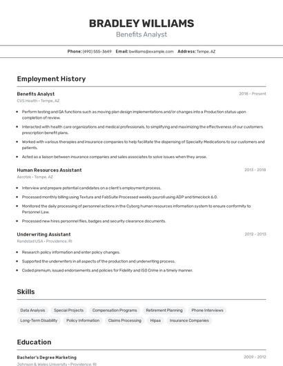 Resume example 2