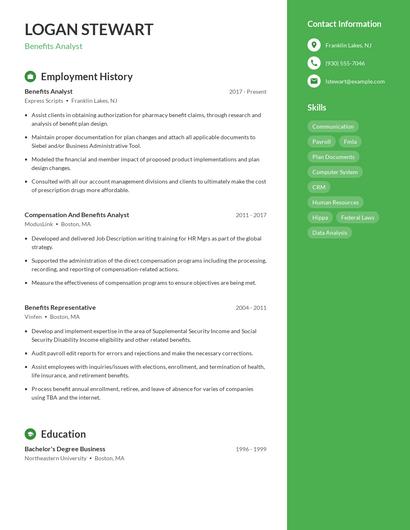 Resume example 4