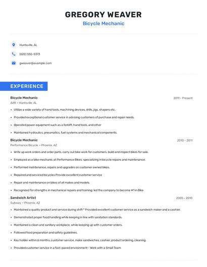 Bicycle Mechanic Resume
