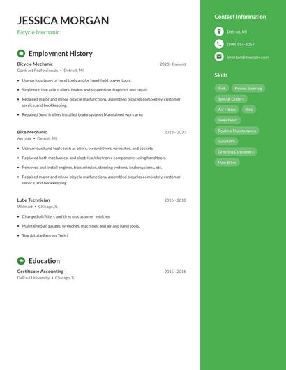 Bicycle Mechanic Resume