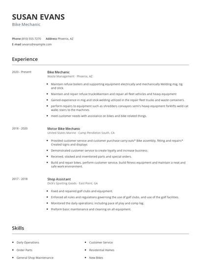 Bike Mechanic Resume