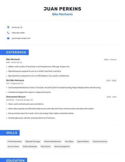 Bike Mechanic Resume