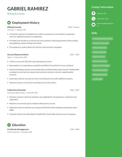 Resume example 4