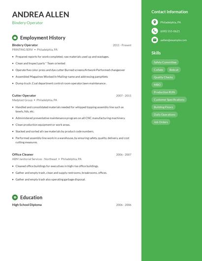 Resume example 4