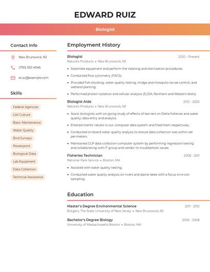 Resume example 3