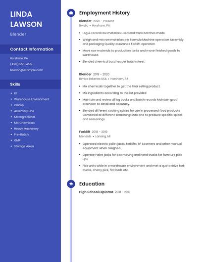 Resume example 4
