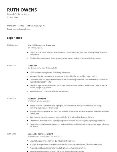 Board Of Directors, Treasurer Resume