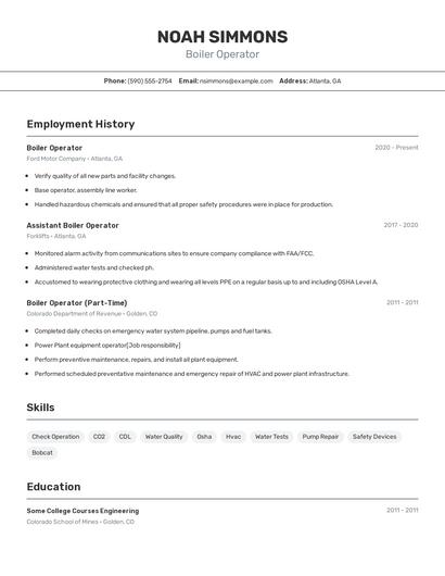 Resume example 2
