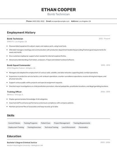 Bomb Technician Resume