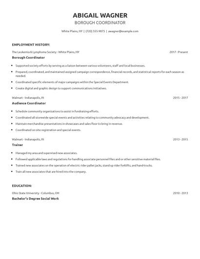 Borough Coordinator Resume