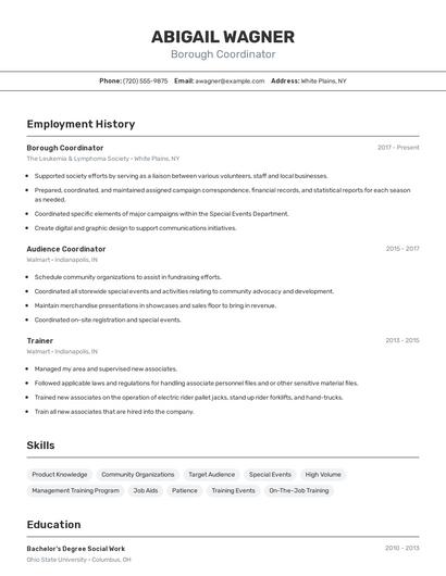 Borough Coordinator Resume