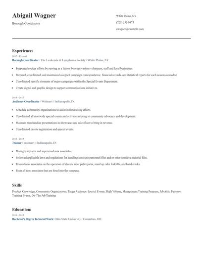 Borough Coordinator Resume