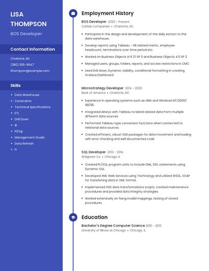 BOS Developer Resume