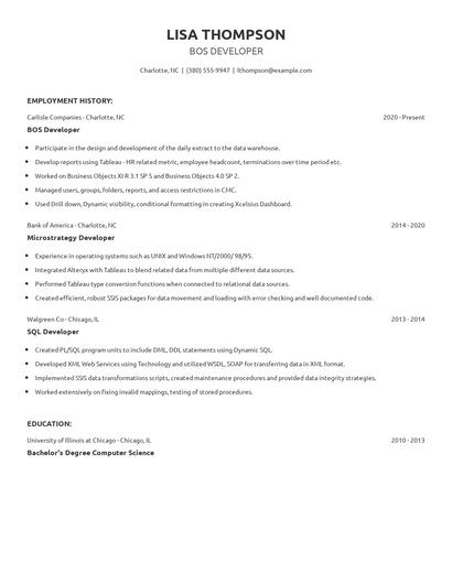 BOS Developer Resume