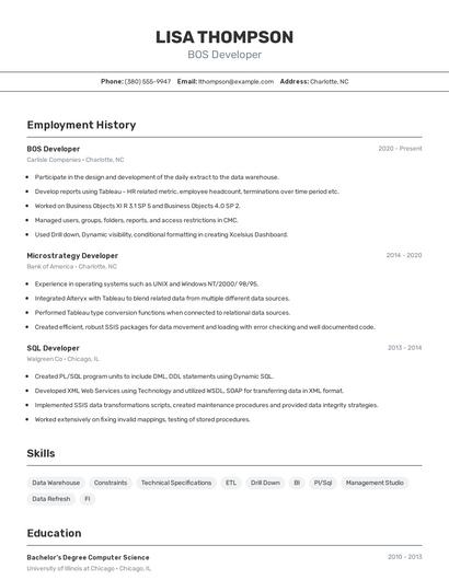 BOS Developer Resume