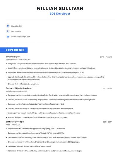 BOS Developer Resume