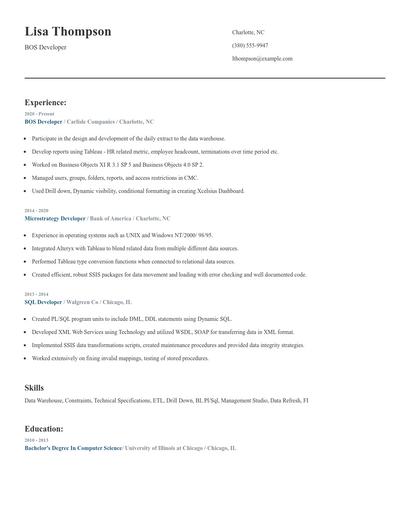 BOS Developer Resume