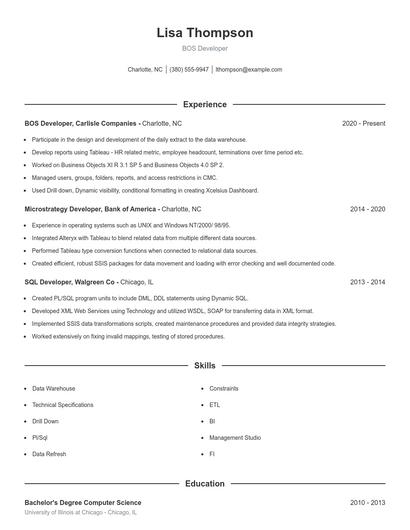 BOS Developer Resume