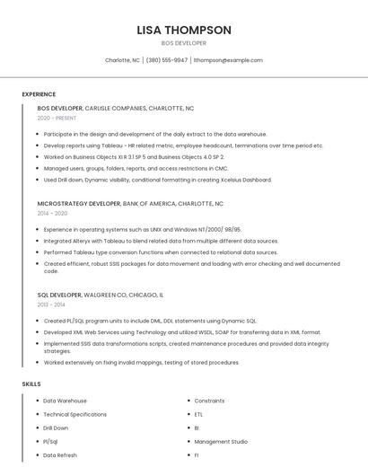 BOS Developer Resume