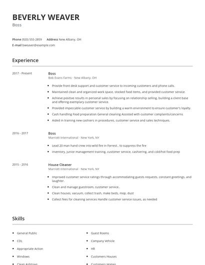 Boss Resume