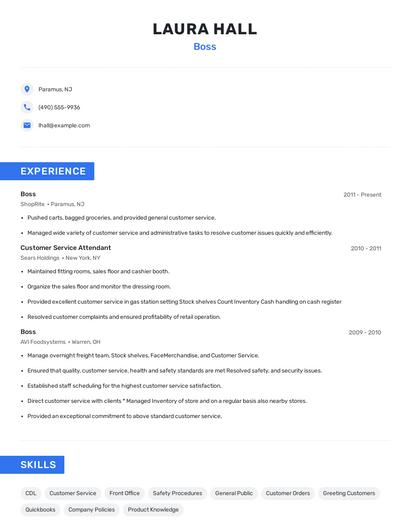 Boss Resume