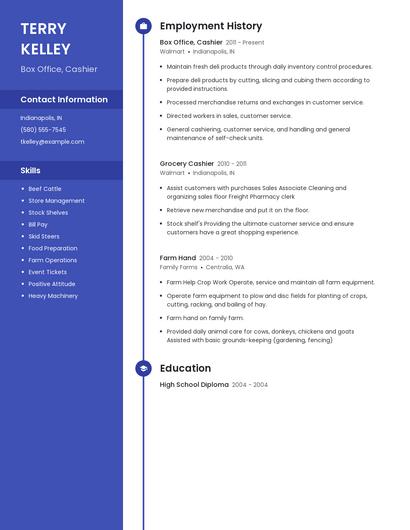Resume example 4