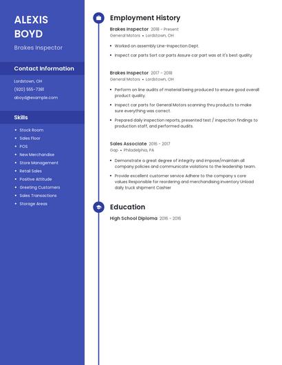 Brakes Inspector Resume