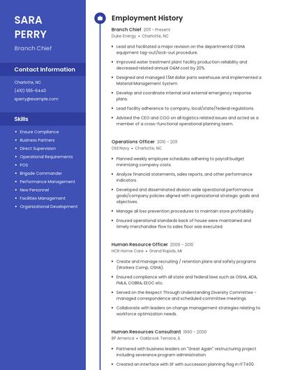 Branch Chief Resume