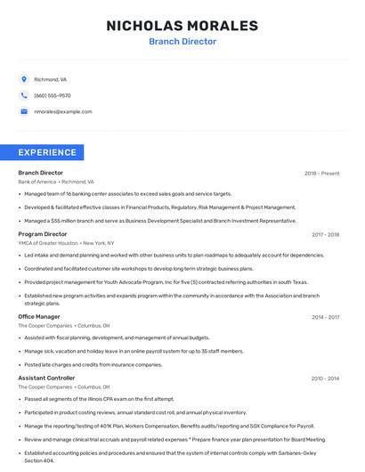 Branch Director Resume