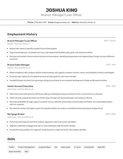 Resume example 2