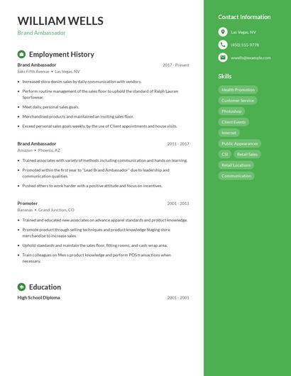 Resume example 5
