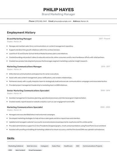 Resume example 2