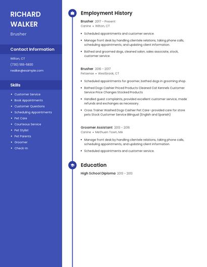 Brusher Resume