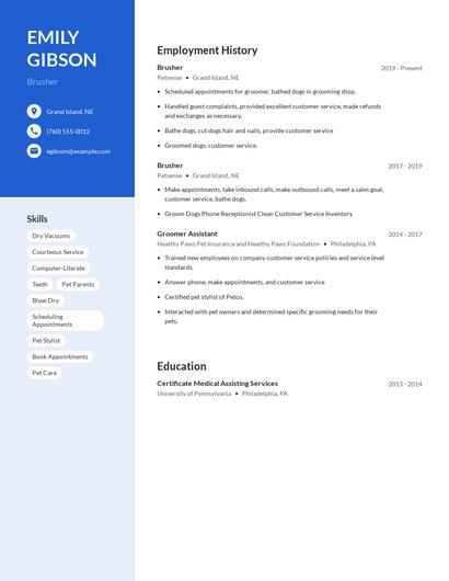 Brusher Resume