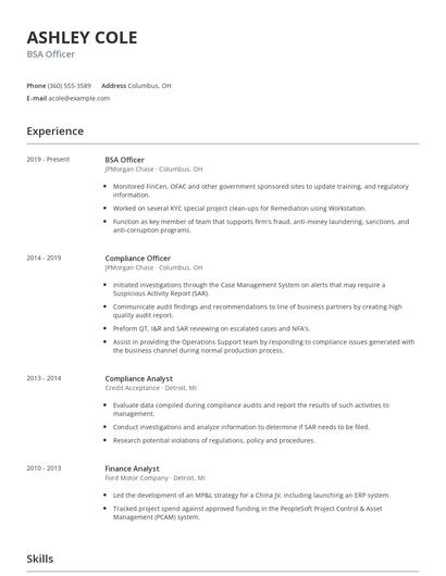 BSA Officer Resume