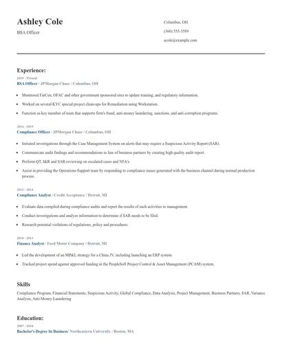 BSA Officer Resume