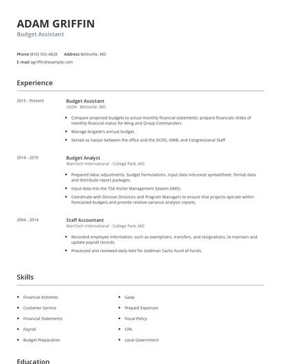 Budget Assistant Resume