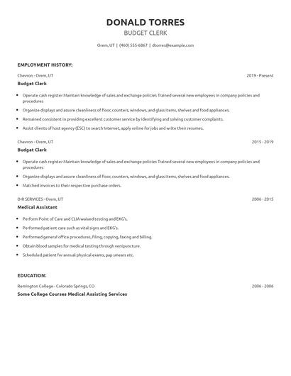 Budget Clerk Resume